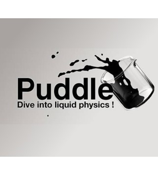 Puddle Steam Key GLOBAL